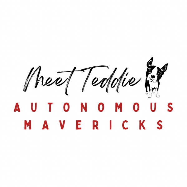 Autonomous Mavericks 