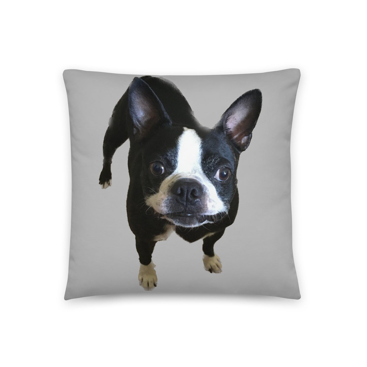 Double-Sided Accent Pillow (Boston Terrier / Jekyll & Hyde)