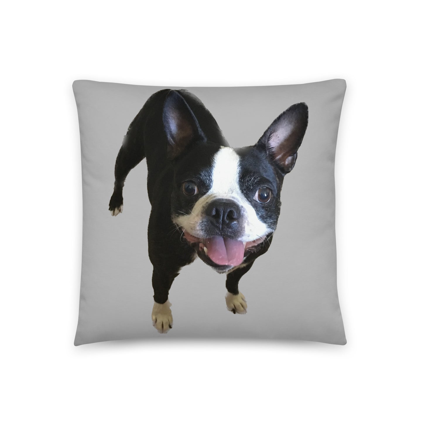 Double-Sided Accent Pillow (Boston Terrier / Jekyll & Hyde)