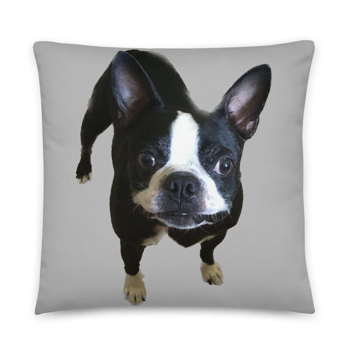 Double-Sided Accent Pillow (Boston Terrier / Jekyll & Hyde)