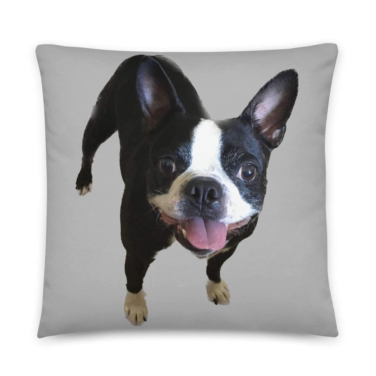 Double-Sided Accent Pillow (Boston Terrier / Jekyll & Hyde)