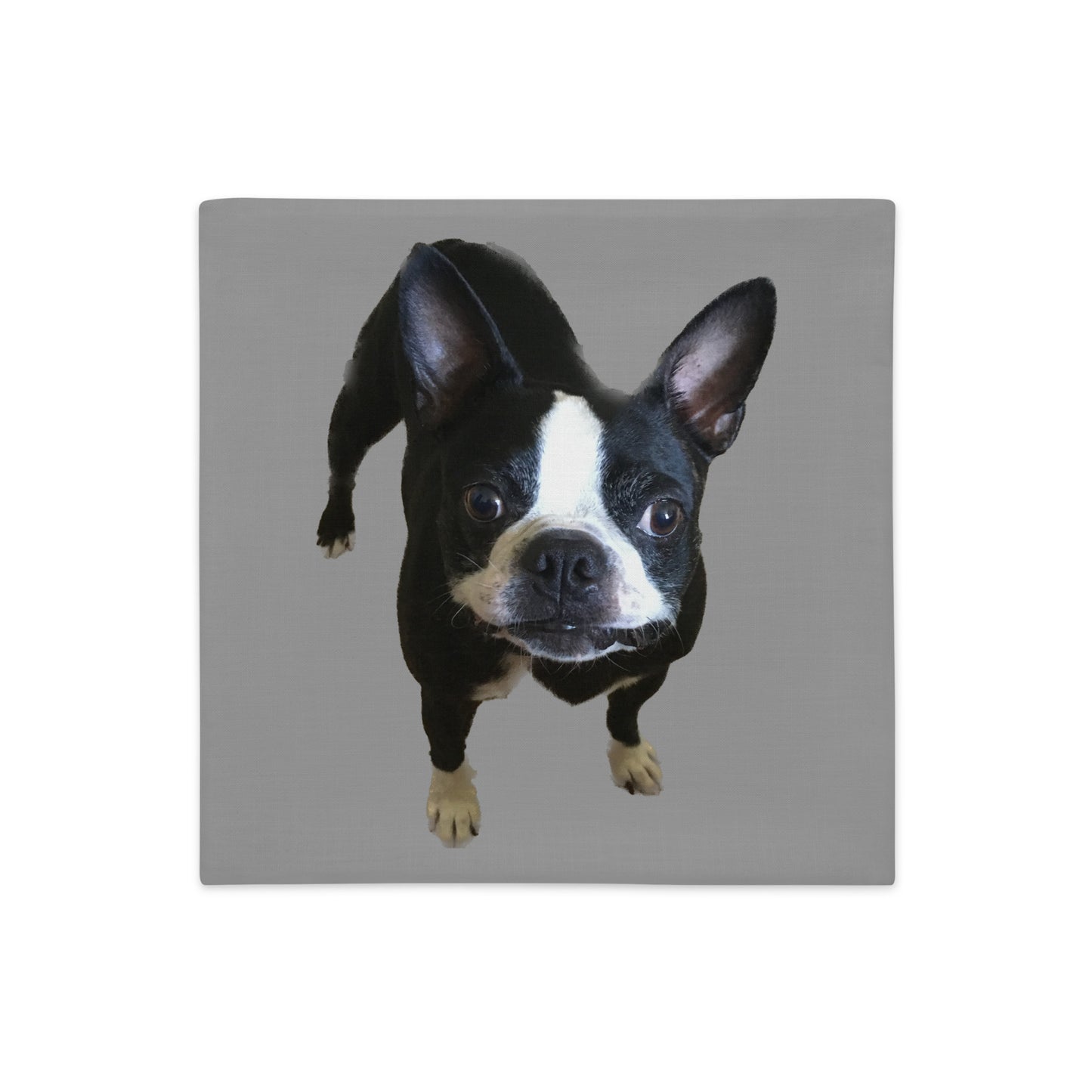 Double-Sided Pillow Cover (Boston Terrier / Jekyll & Hyde)