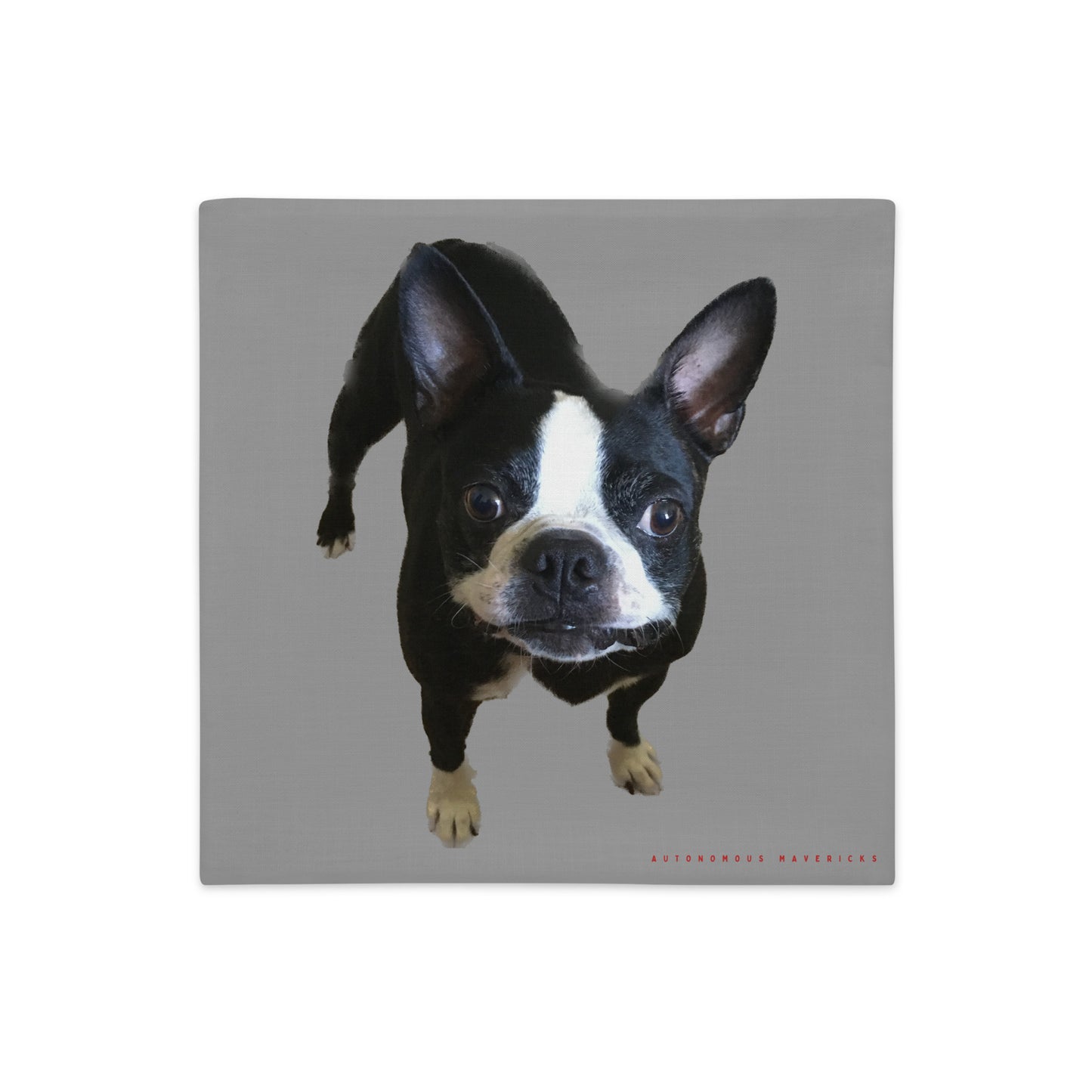 Double-Sided Pillow Cover (Boston Terrier / Jekyll & Hyde)