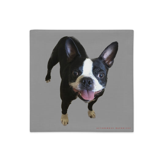 Double-Sided Pillow Cover (Boston Terrier / Jekyll & Hyde)