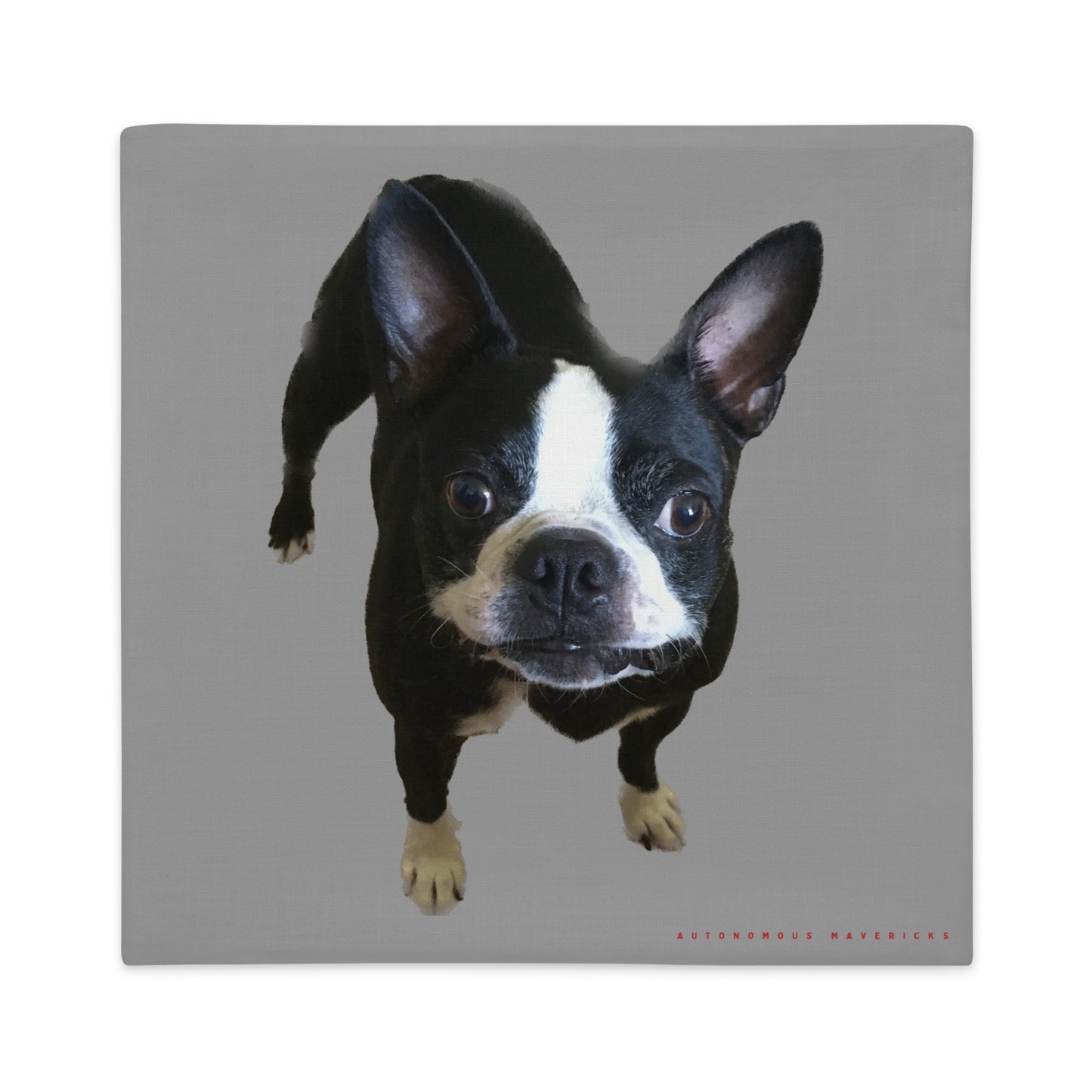 Double-Sided Pillow Cover (Boston Terrier / Jekyll & Hyde)