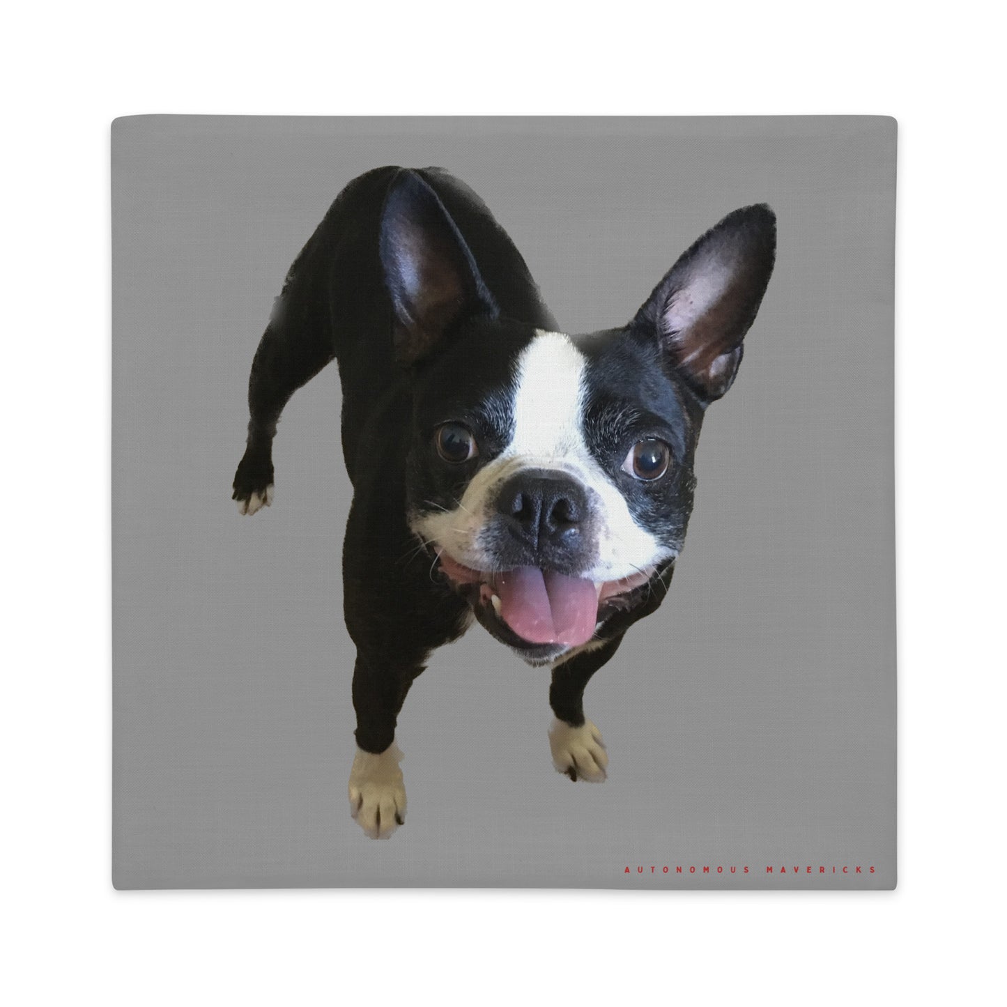 Double-Sided Pillow Cover (Boston Terrier / Jekyll & Hyde)