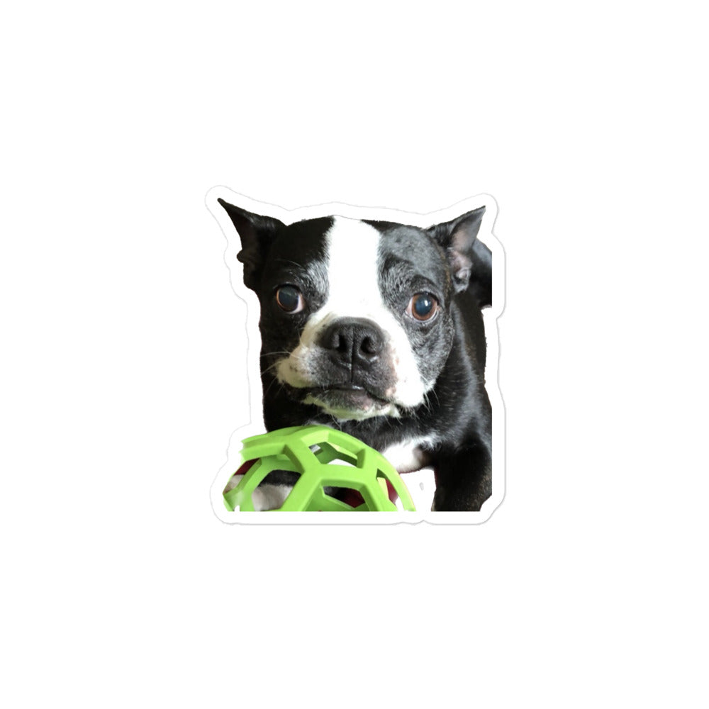 Stickers (Bubble-Free) Boston Terrier Green Toy