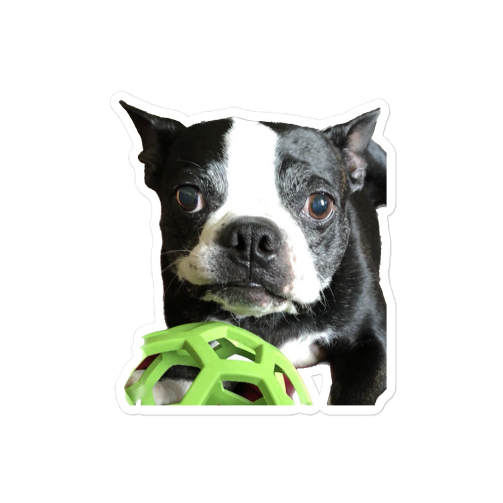 Stickers (Bubble-Free) Boston Terrier Green Toy