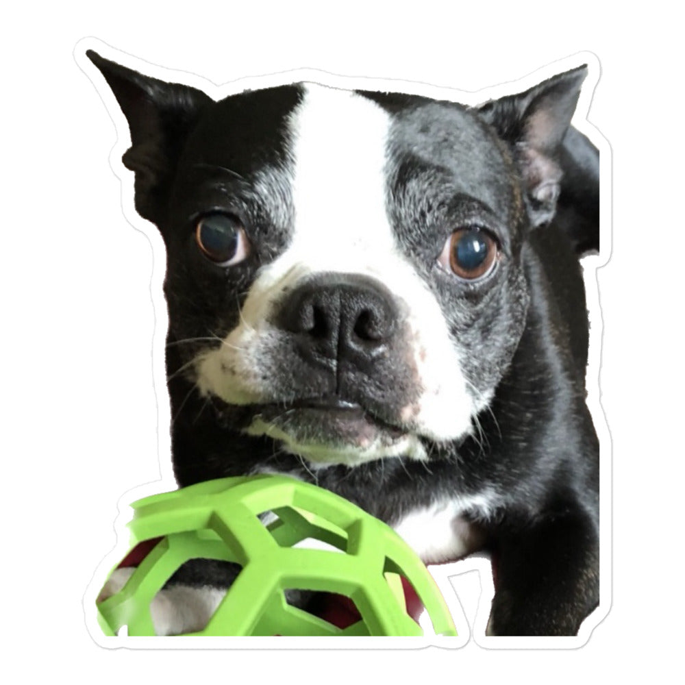 Stickers (Bubble-Free) Boston Terrier Green Toy