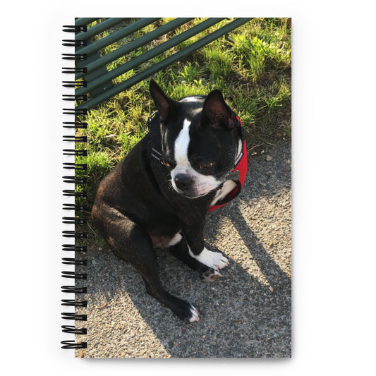 Notebook (Boston Terrier in Nature)